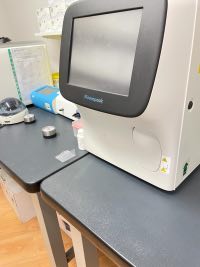 Multiple Diseases ? Has God Left us? MBMD