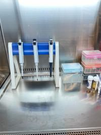 From Tina – Why did I get infected why it happened to MBMD