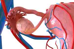 Illness made me alone. I had never known it before. MBMD