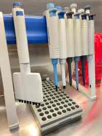 There also a ton of OC Disease History in your family? MBMD