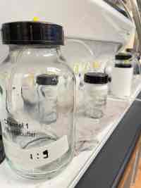 Oncological Pathologies detected in time? MBMD