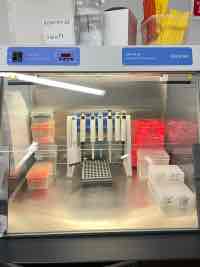 Your in contact with someone with warts! Its plain MBMD