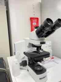 Your the carrier of the dangerous gene mutation? MBMD